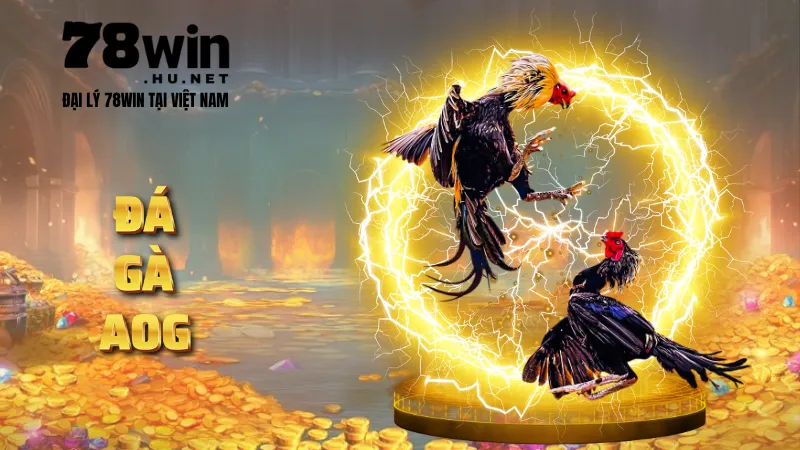Đá gà AOG