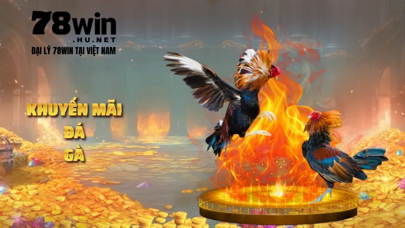 Khuyến mãi đá gà